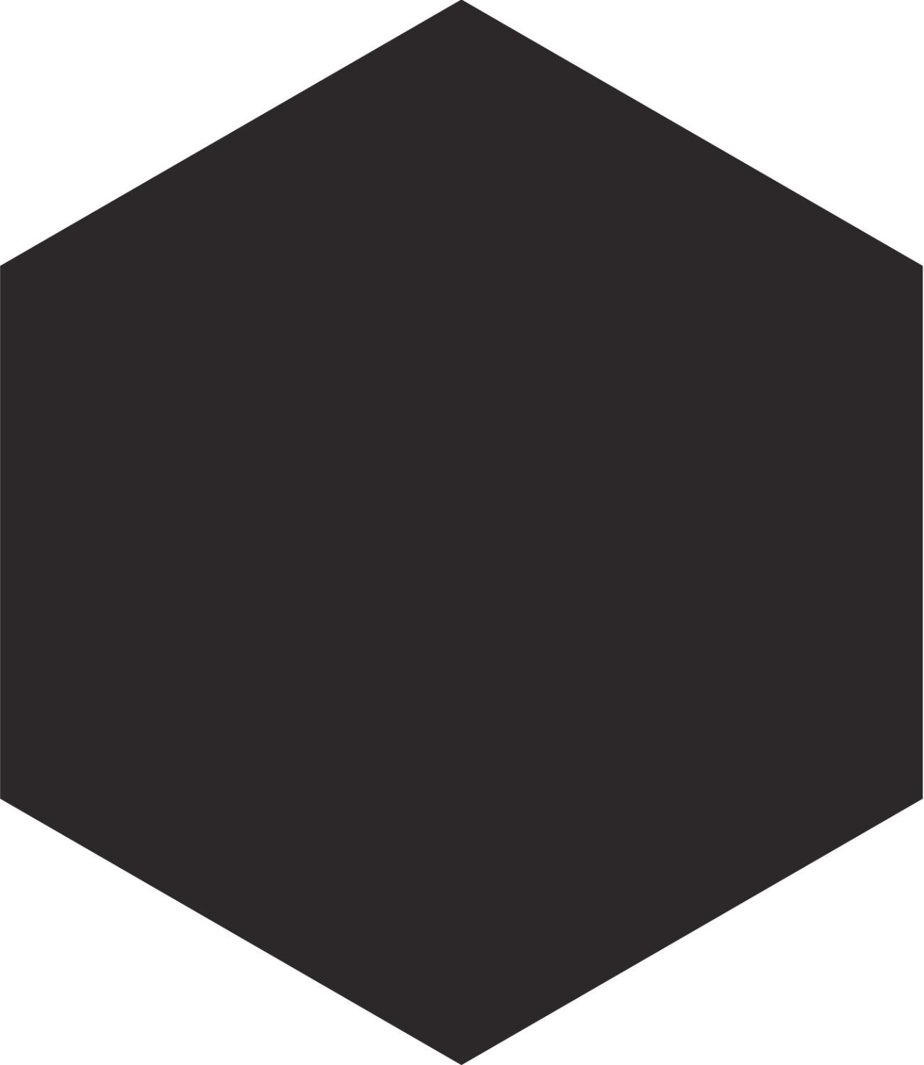 APINI-BLACK-HEXAGON-23X265_1599217216.jpg