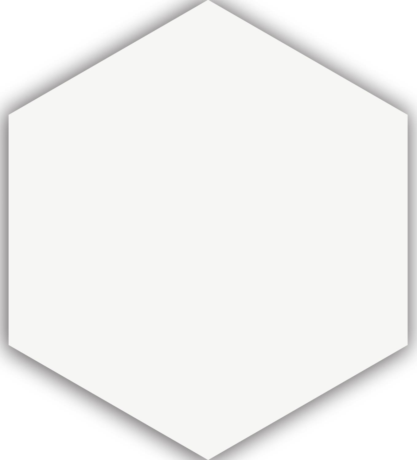 APINI-WHITE-HEXAGON-23X265_1599217227.jpg