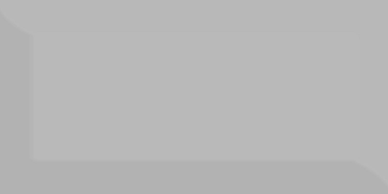 METRO-GREY-GLOSSY-10X20_1599210002.jpg